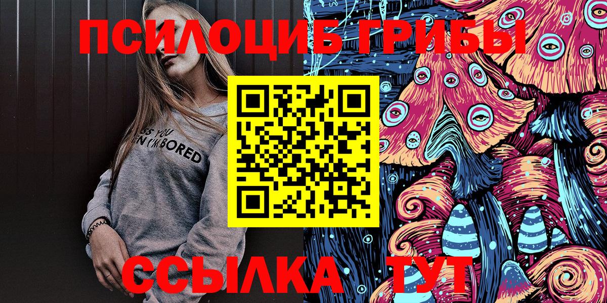 Галлюциногенные грибы Psilocybe Орёл