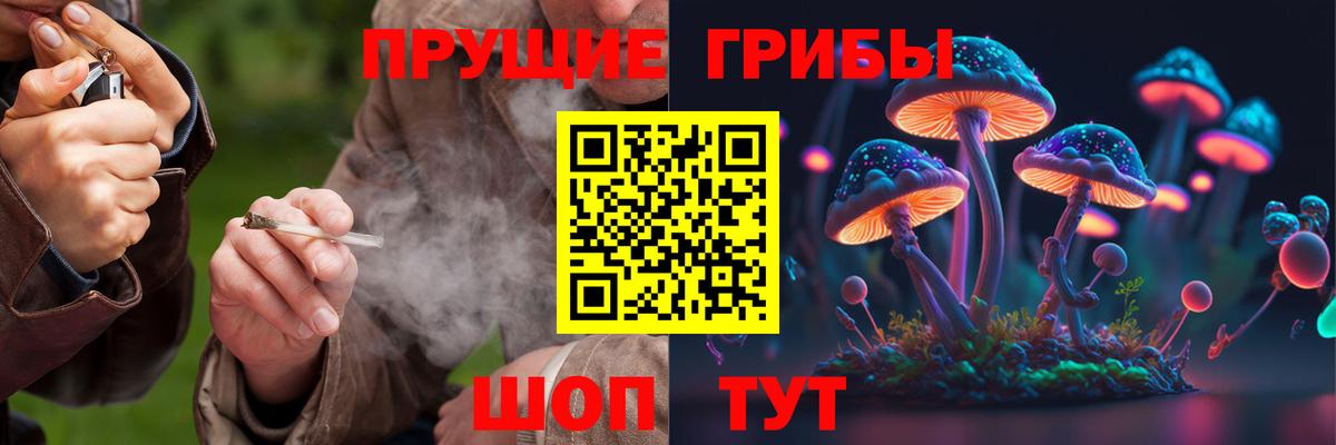 Галлюциногенные грибы Cubensis  Вход с VPN  Орёл 
